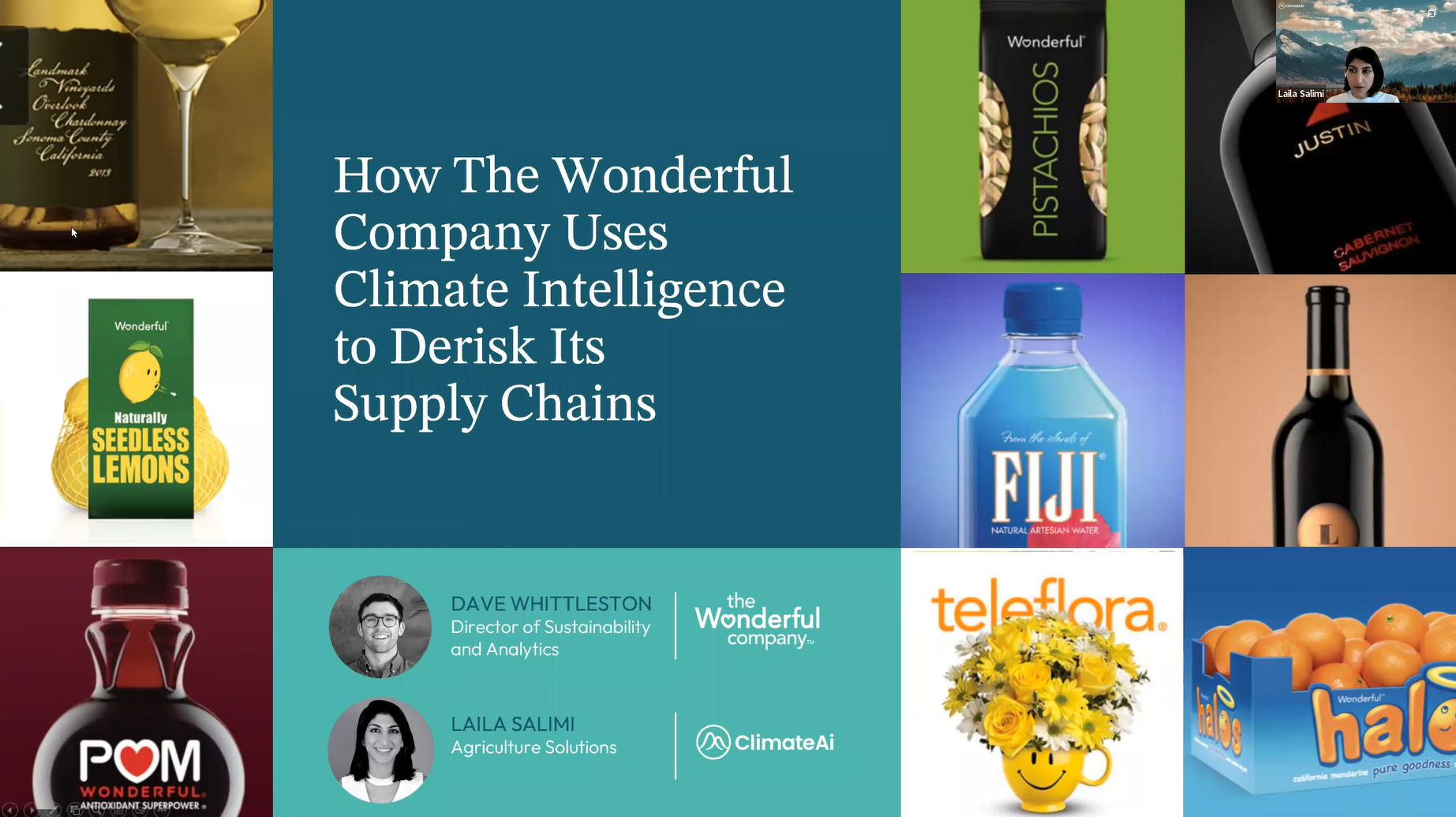 Wonderful Webinar Snapshot