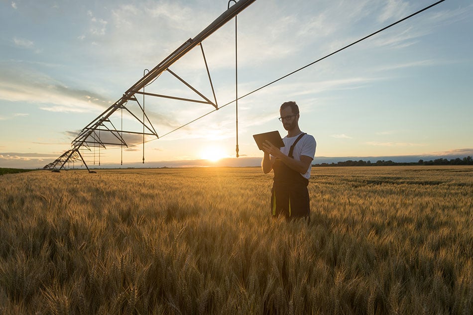 barley-farm-and-farmer,-irrigation-1